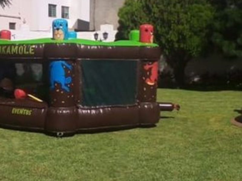 Renta de Juego Waka-Mole