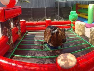 Renta de Toro Mecánico Western