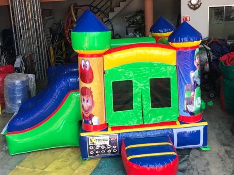 Renta de Mini inflables varios personajes