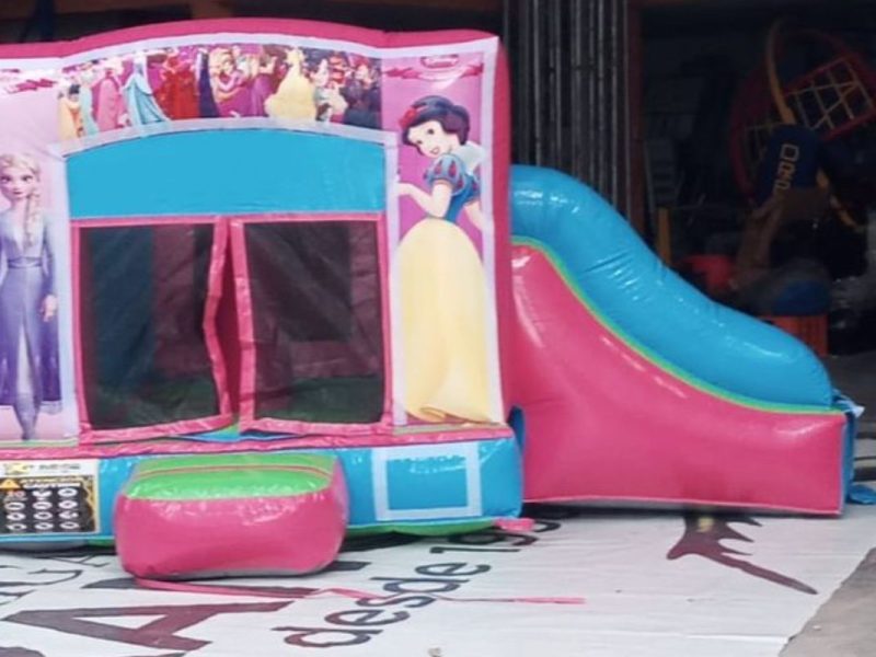 Renta de Mini inflables varios personajes