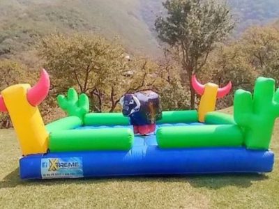 Renta de Toro Mecánico