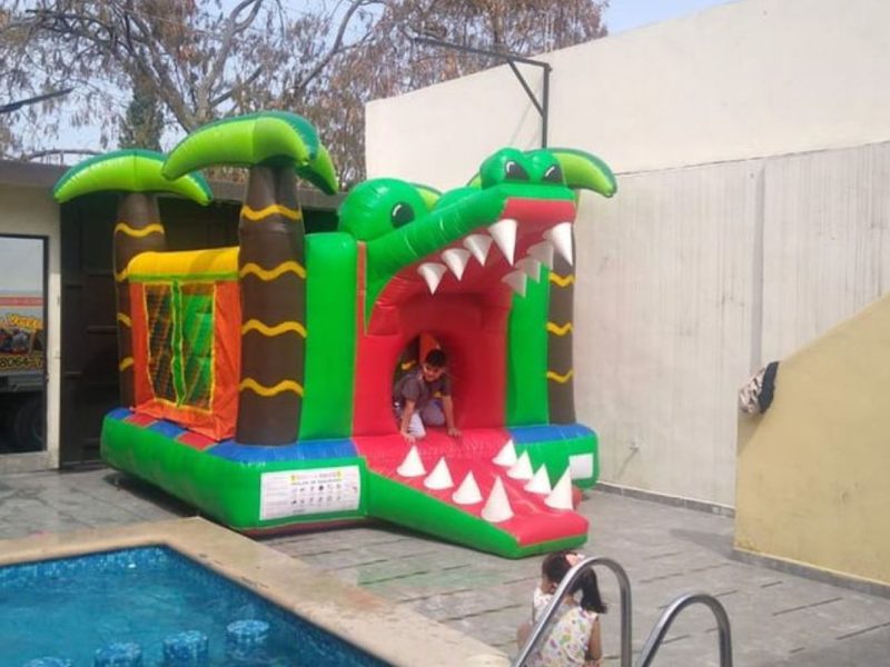 Renta de Inflable Cocodrilo