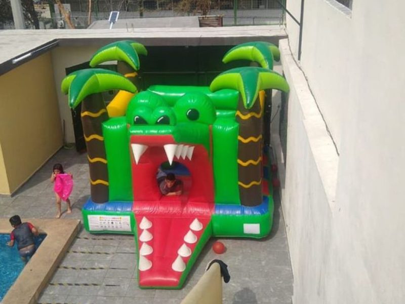 Renta de Inflable Cocodrilo