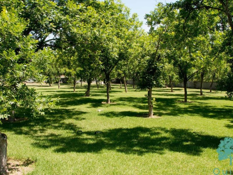 Quinta Fabiola