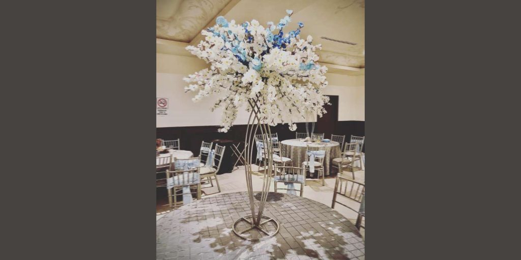 Europa Eventos - Salón Europa 2