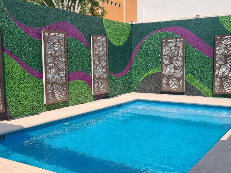 Lapa Lapa Eventos