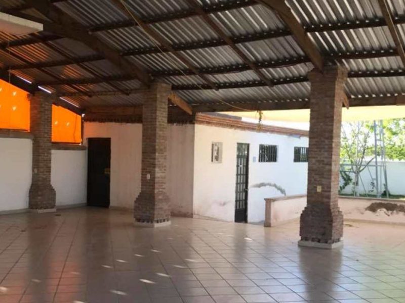 Palapa "El Papalote"