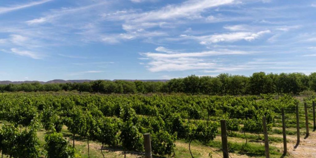 Hacienda el Marqués