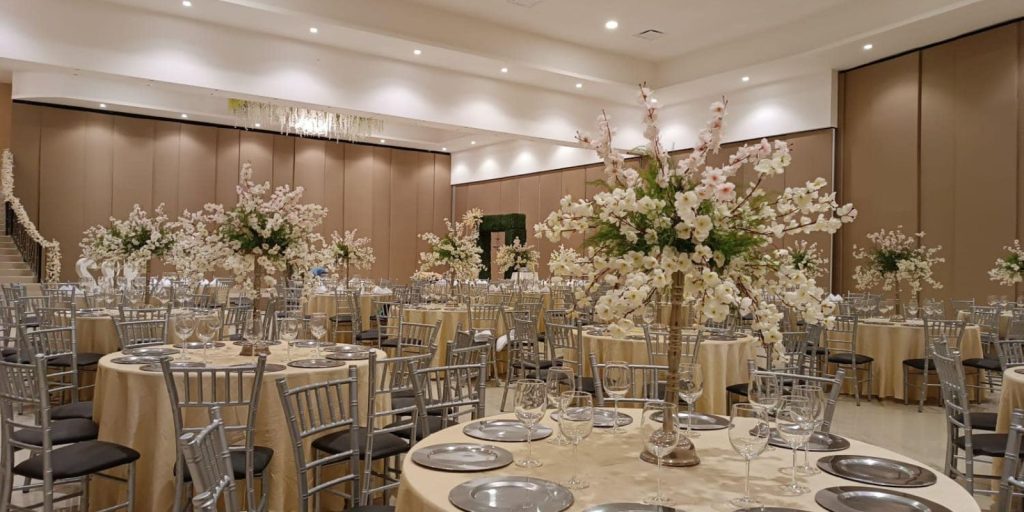 Fuentes Platinum Eventos