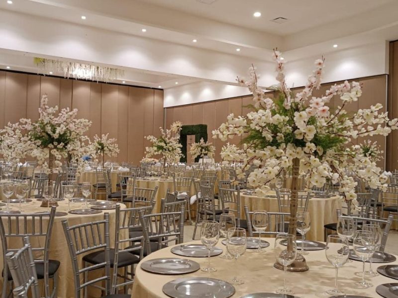Fuentes Platinum Eventos