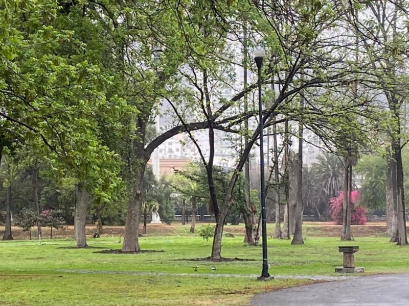 Quinta Trébol