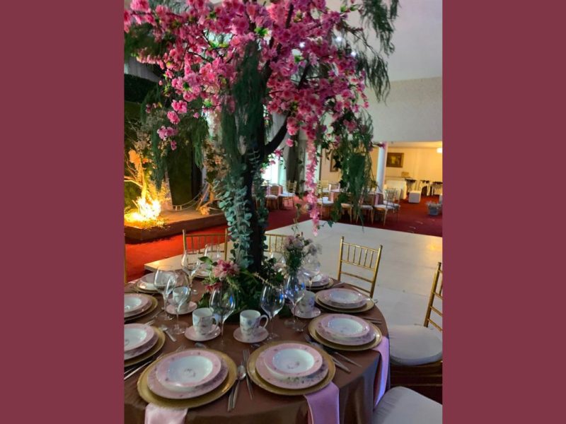Mainé Eventos