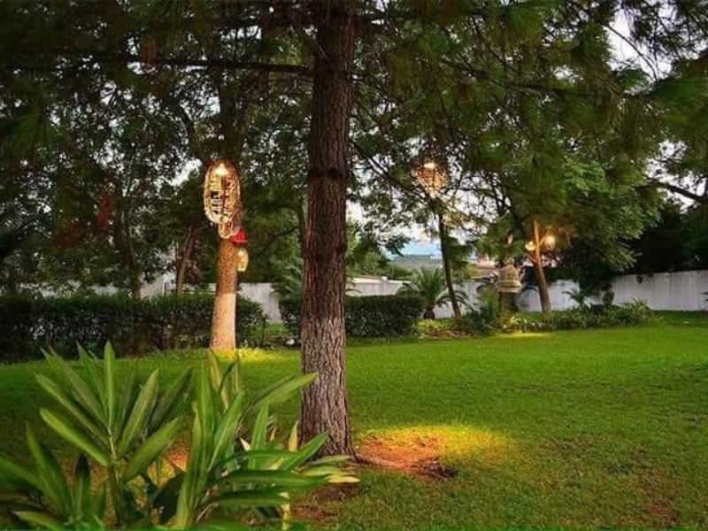 El Cortijo de los Nogales