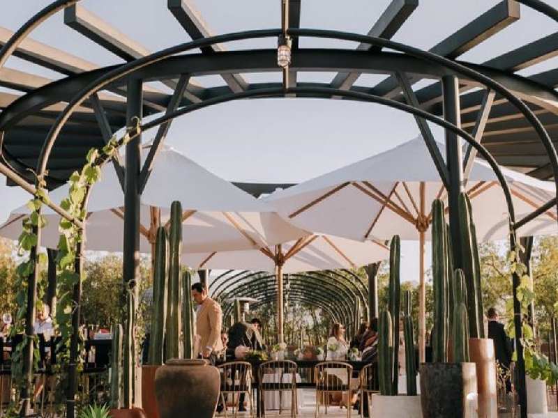 Viñedo Hacienda el Secreto