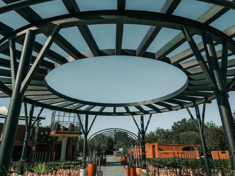 Viñedo Hacienda el Secreto