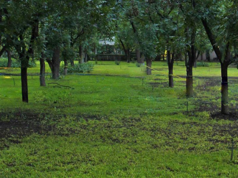 Fontana Jardín & Recepciones