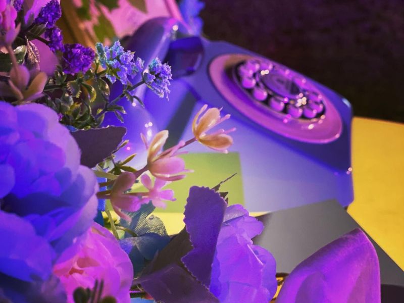 Renta de Servicio de Alfombra Roja