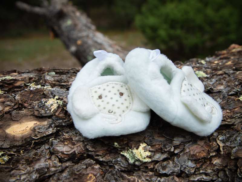 Octubre Veintiuno Fotografía y Video Saltillo