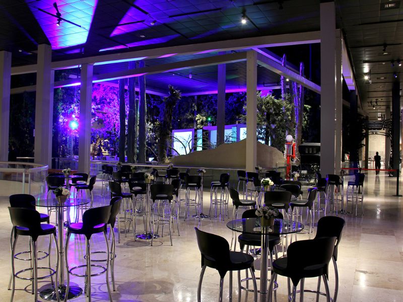 Vestibulo Planta Alta - Museo de Historia Mexicana