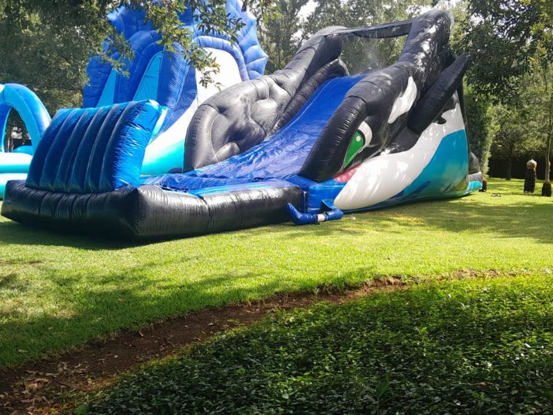 Inflable acuático Orca
