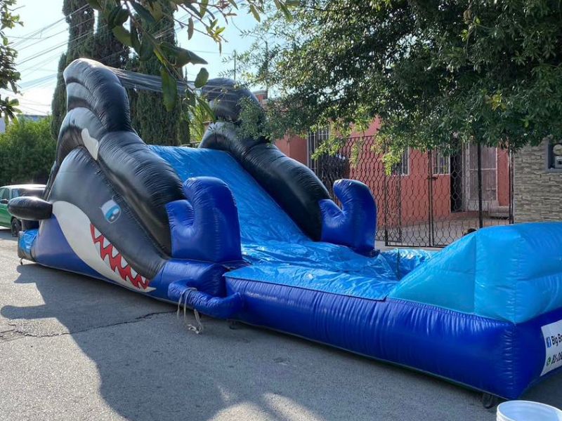 Inflable acuático Orca