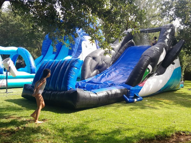 Inflable acuático Orca