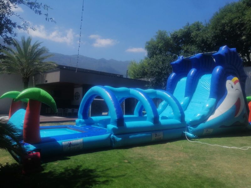 Inflable acuático Pez espada