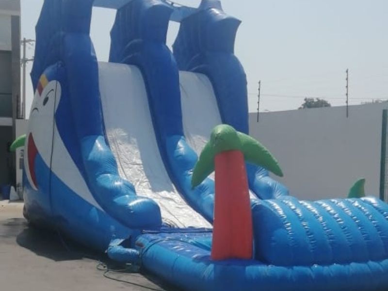 Inflable acuático Pez espada