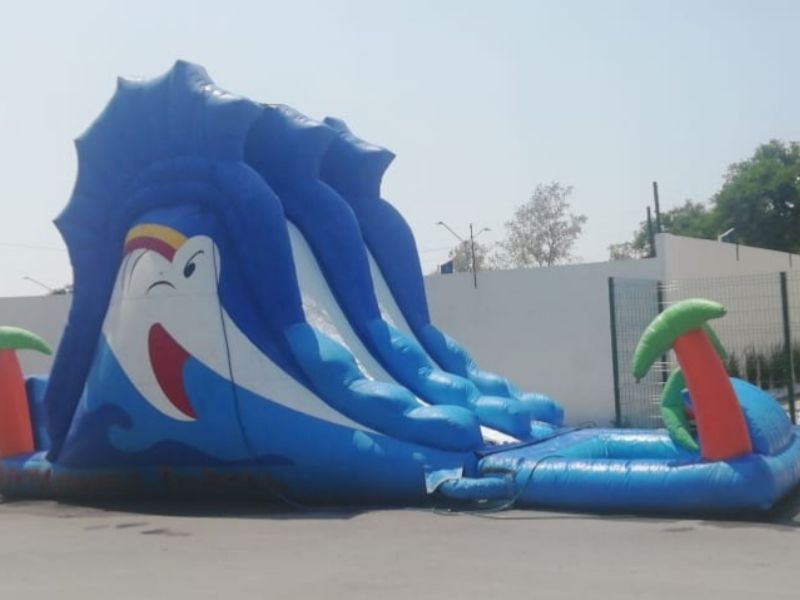 Inflable acuático Pez espada