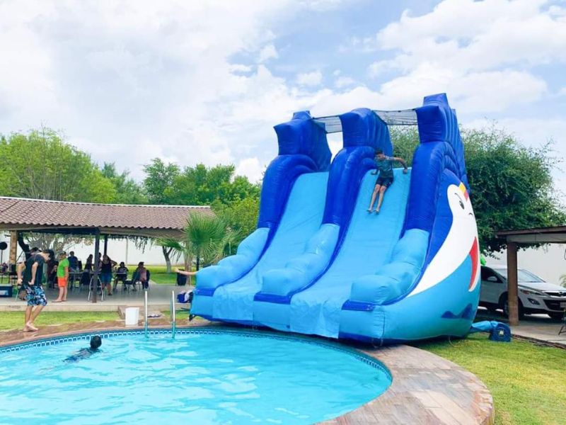 Inflable acuático Pez espada